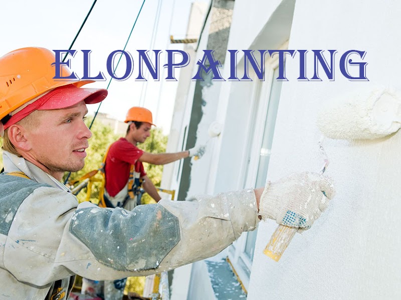 elon painting project 9