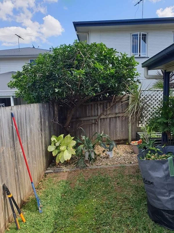 Enchanted Gardening Maintenance project 7