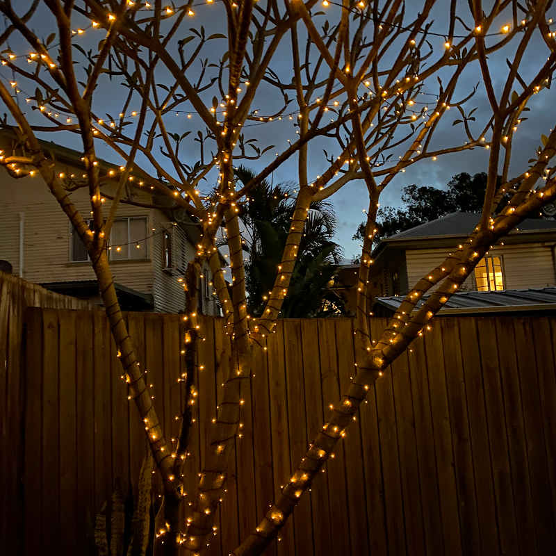 Enchanted Gardening Maintenance project 8