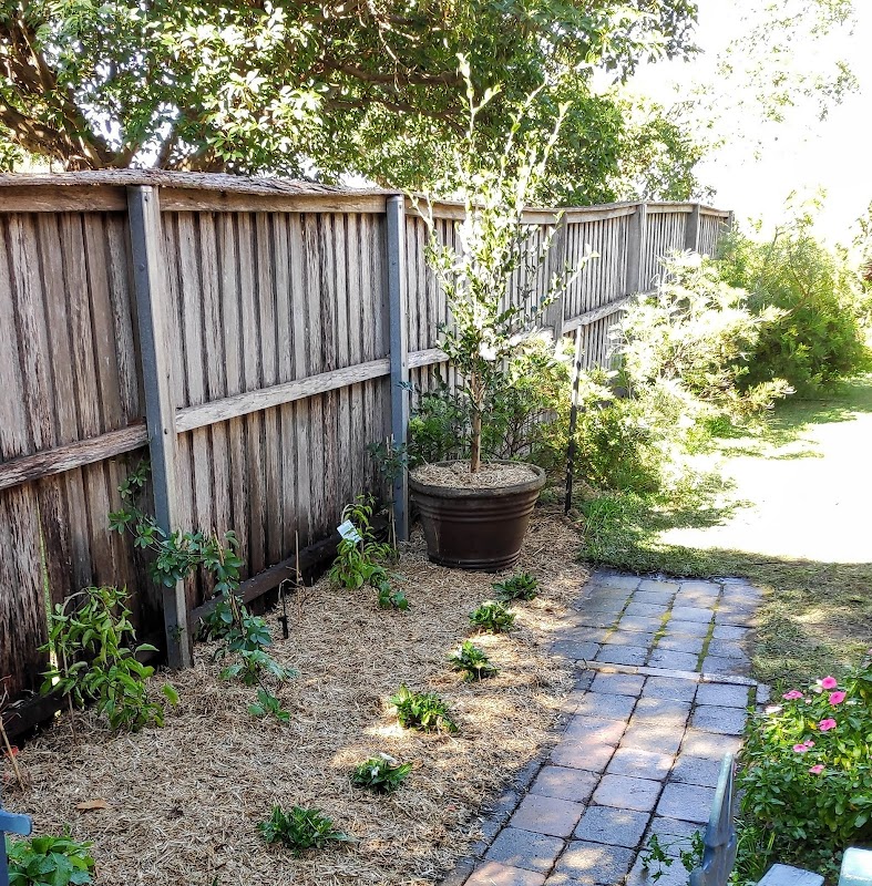 Ernst Landscaping and Gardening work 2