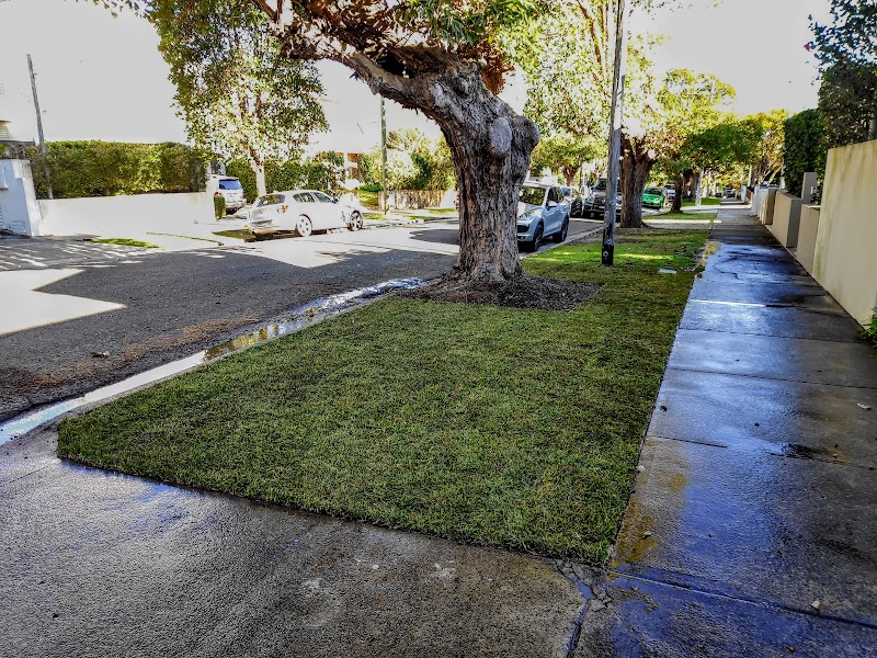 Ernst Landscaping and Gardening work 3