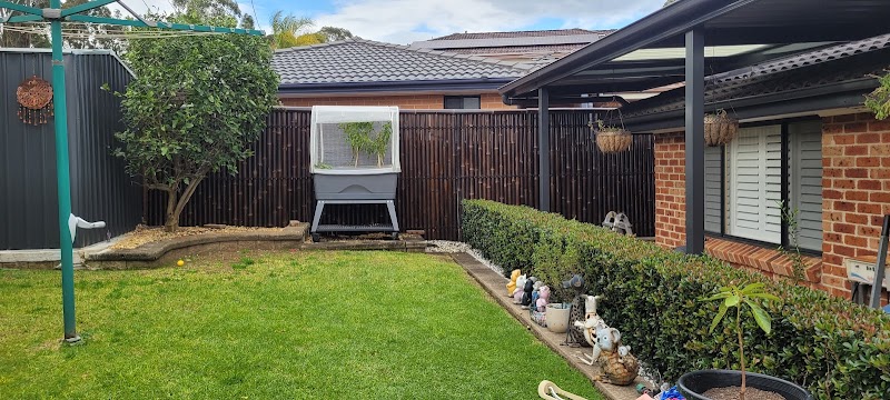 Eschol Park Lawn and Gardening Services project 5