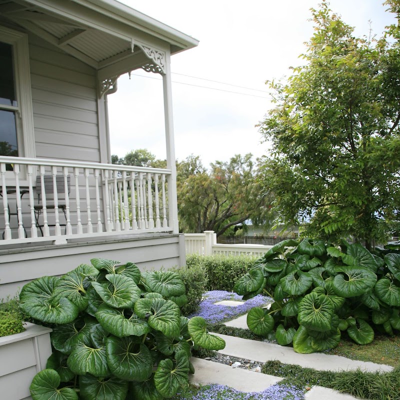 Exterior Architecture Landscape Design Sutherland Shire project 9