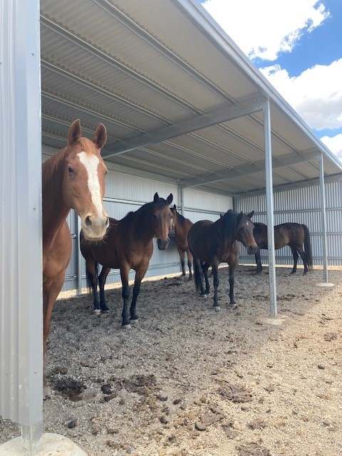 Fair Dinkum Builds R & D Garages & Sheds project 9