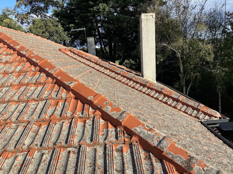Federation Roof work 3