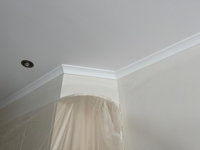 Fence Painter - Qualified House Painting VicPainter project 8