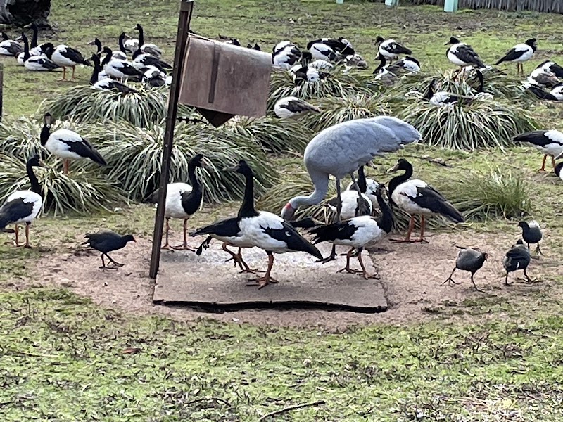 Fig Facility Services project 5