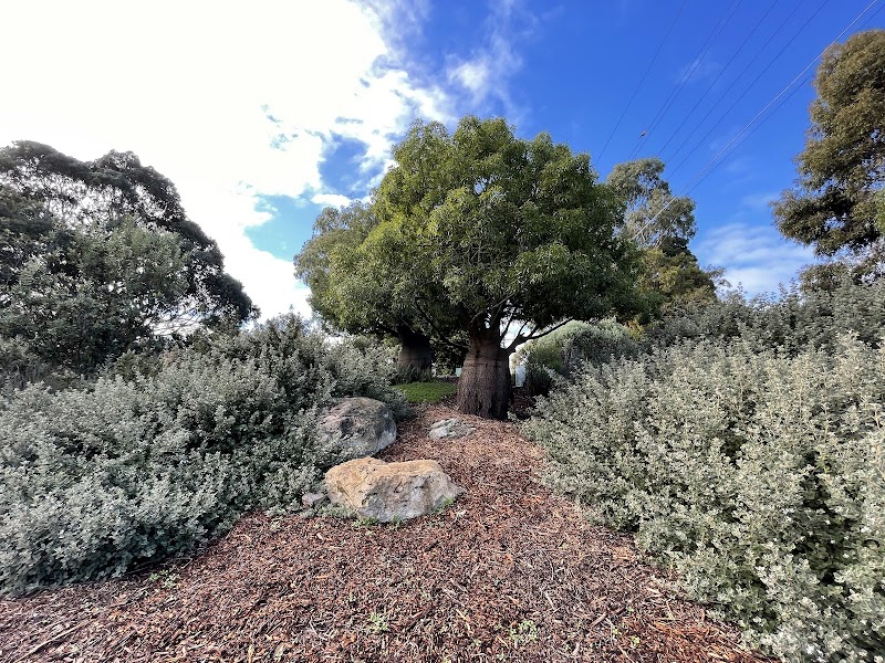 Fig Facility Services project 10