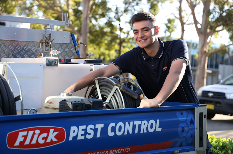 Flick Pest Control Capalaba work 1
