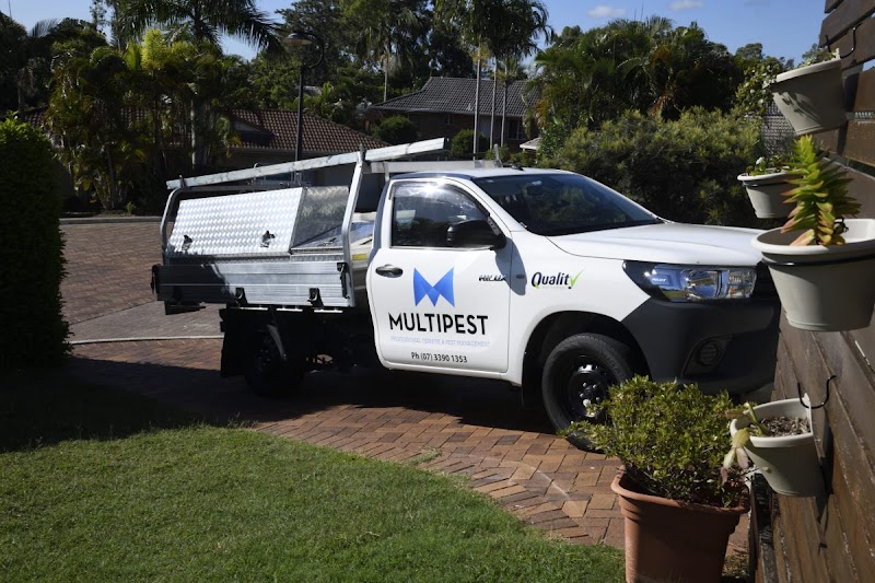 Flick Pest Control Capalaba project 7