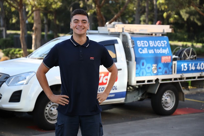 Flick Pest Control Capalaba project 8