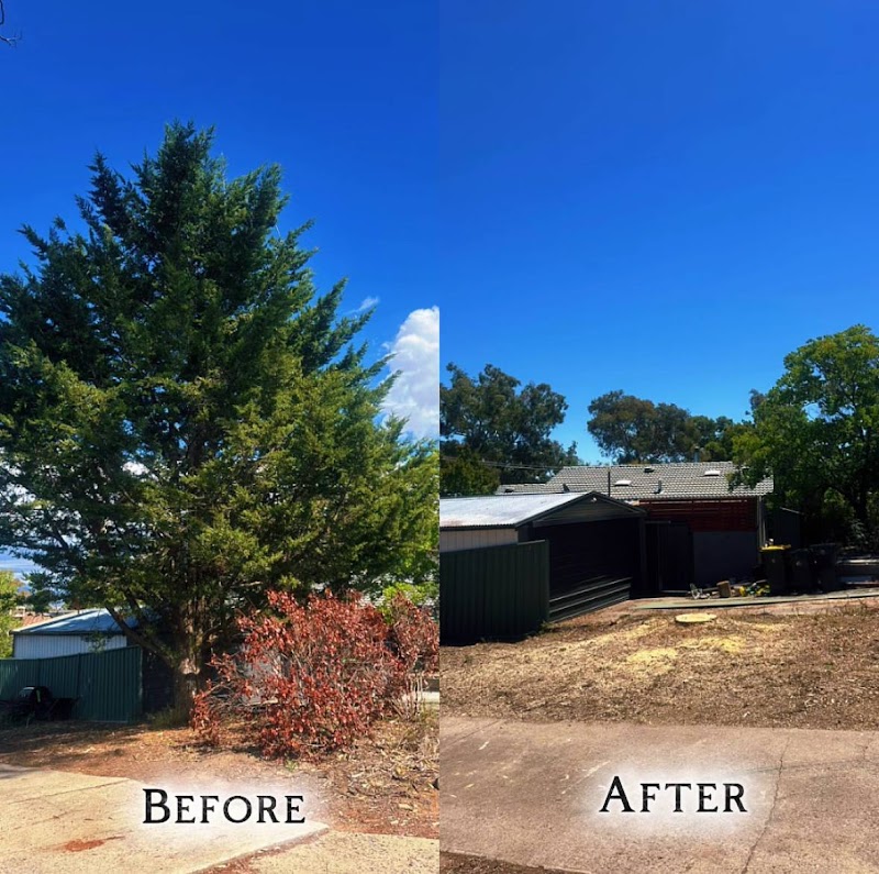 Flora Tree Services photo 1