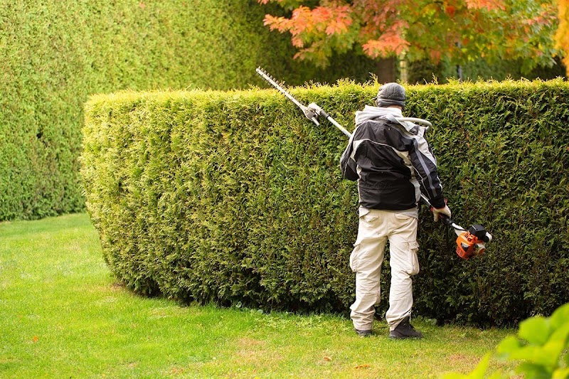 Flora Tree Services photo 3