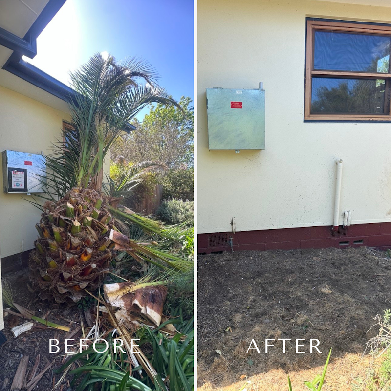 Flora Tree Services project 5