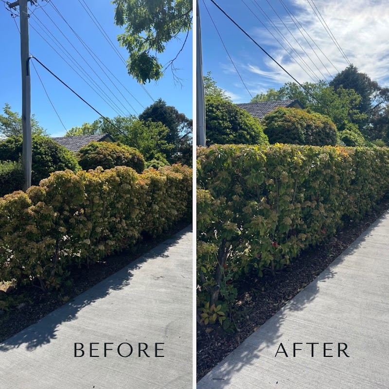 Flora Tree Services project 6