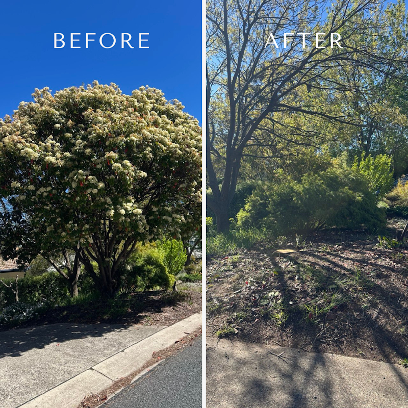 Flora Tree Services project 7