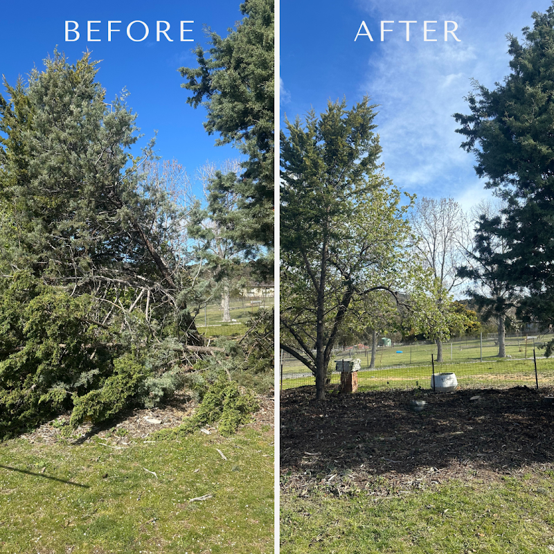 Flora Tree Services project 9