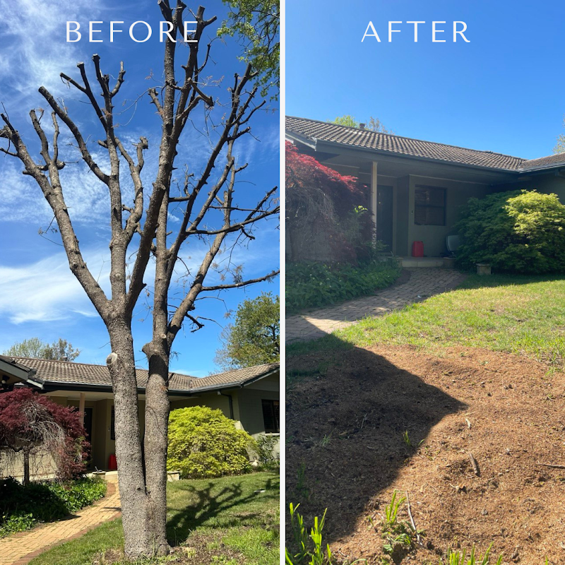Flora Tree Services project 10