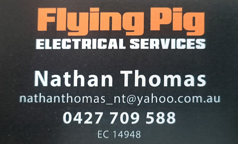 Flying Pig Electrical Services photo 1