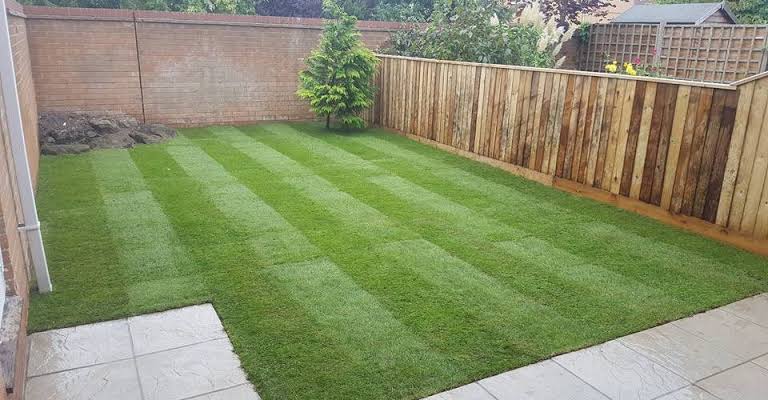 Forever Gardening and Cleaning work 2