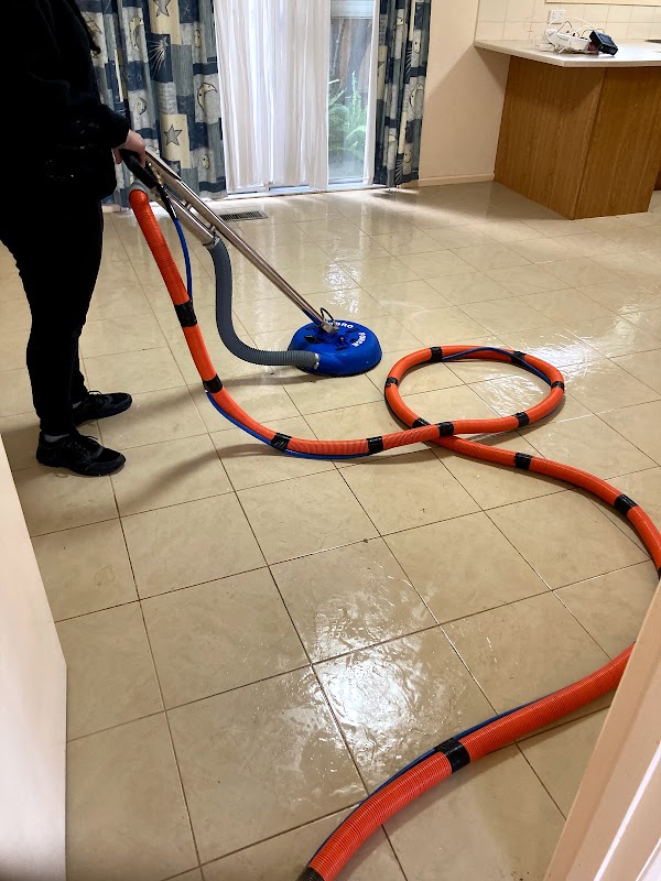 Forever Gardening and Cleaning project 8