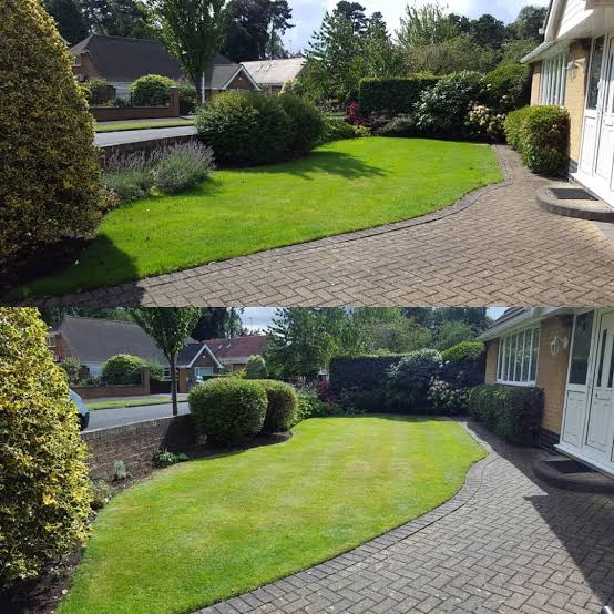 Forever Gardening and Cleaning project 9