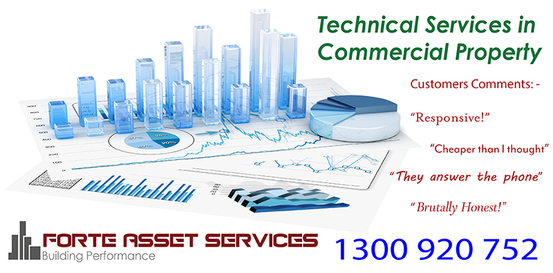 FORTE ASSET SERVICES project 6