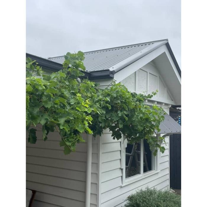 Fresh Coat | House Painting project 9