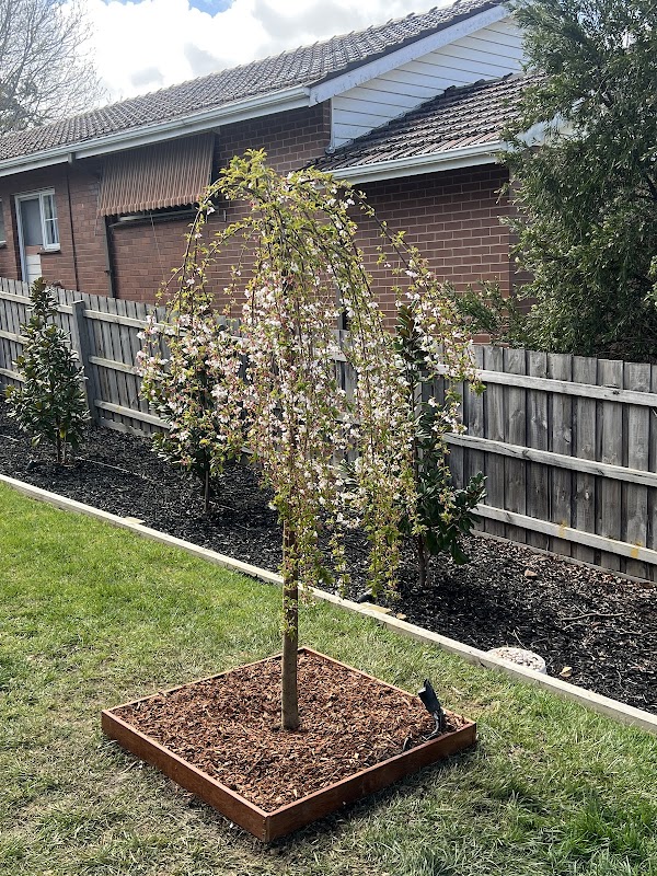 Freyjay Garden work 2