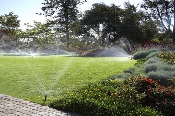 Garden and Reticulation project 6