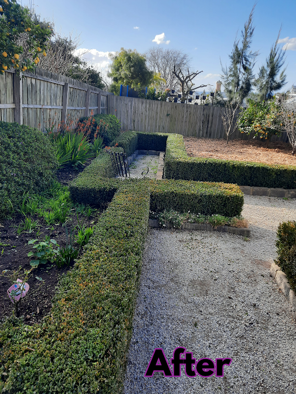Garden Care Lawn Maintenance work 2