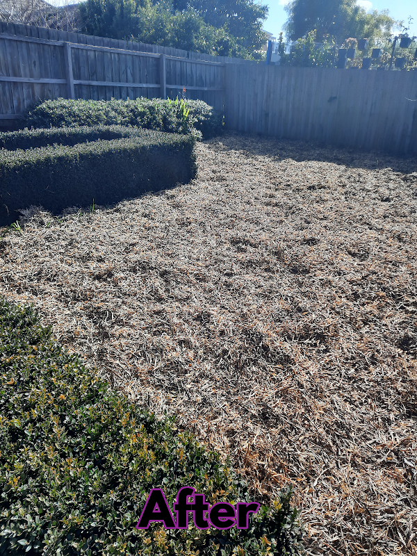 Garden Care Lawn Maintenance work 3