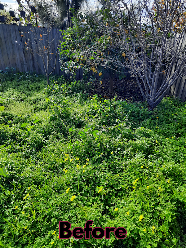 Garden Care Lawn Maintenance work 4