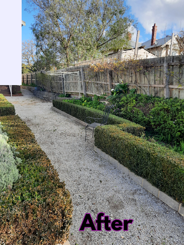 Garden Care Lawn Maintenance project 5