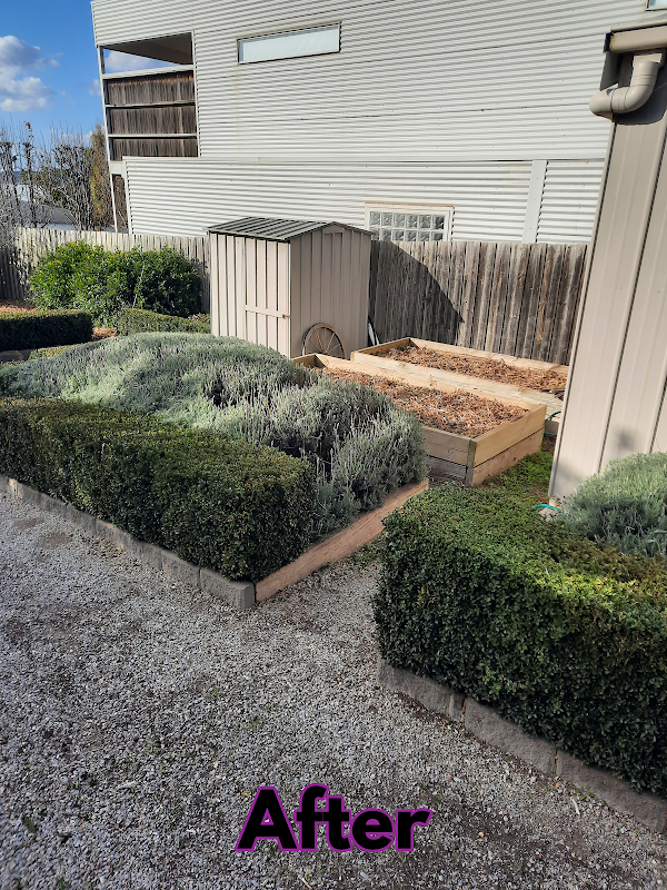 Garden Care Lawn Maintenance project 6