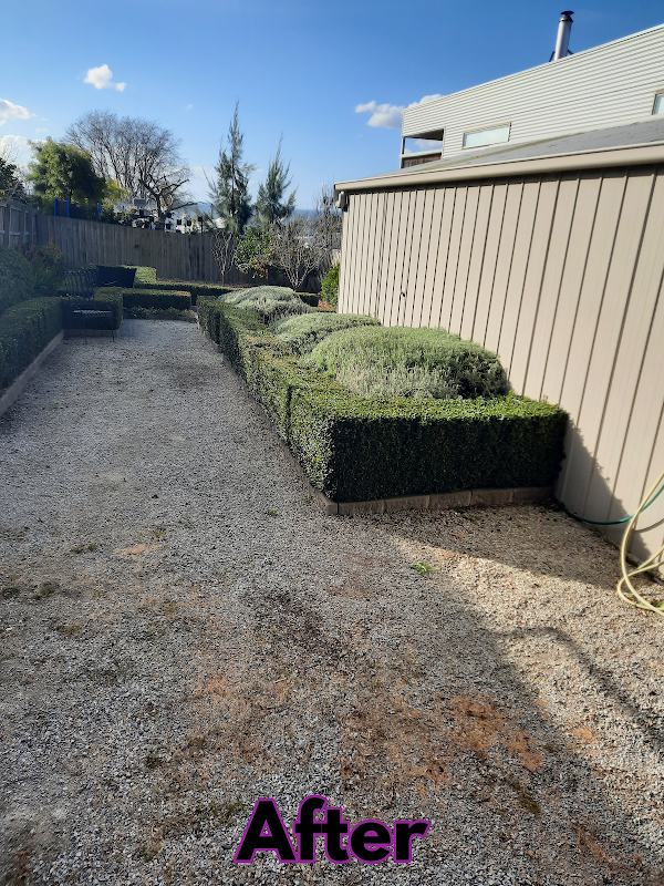 Garden Care Lawn Maintenance project 7