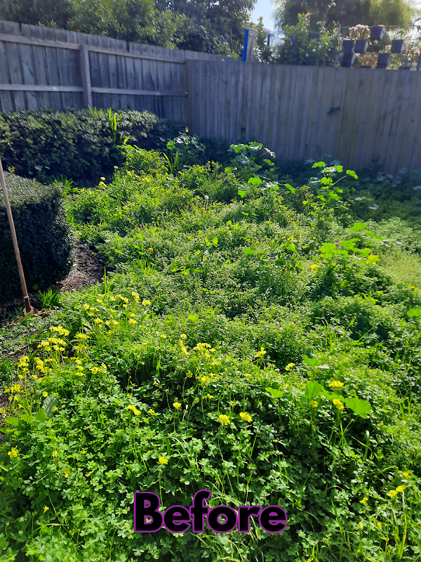 Garden Care Lawn Maintenance project 9
