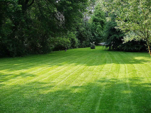 Garden Maintenance Sydney | Gardening Services & Lawn Mowing project 5