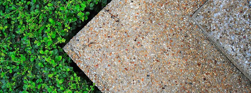 GC Landscapes work 2