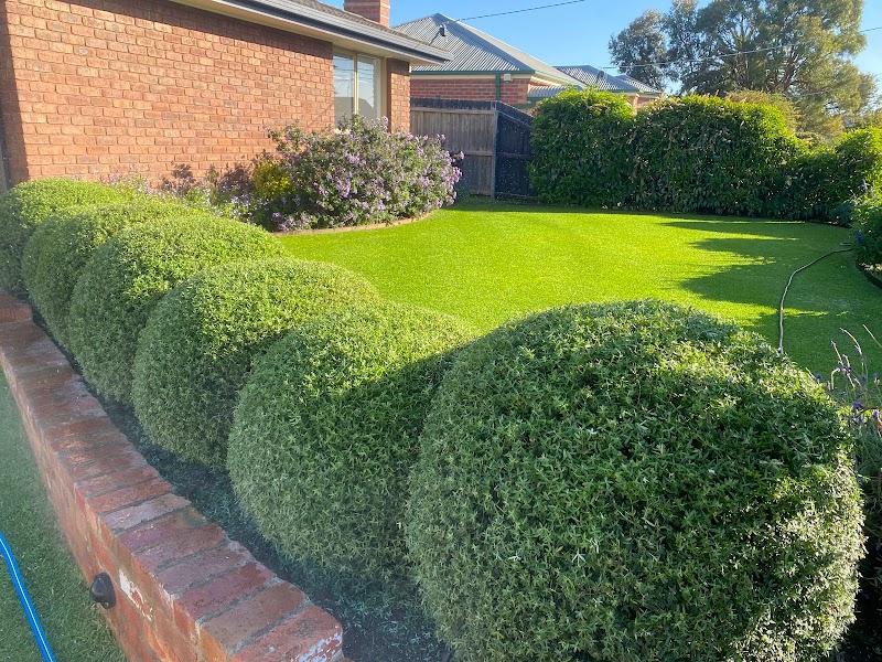 Geelong Landscaping Co. project 9
