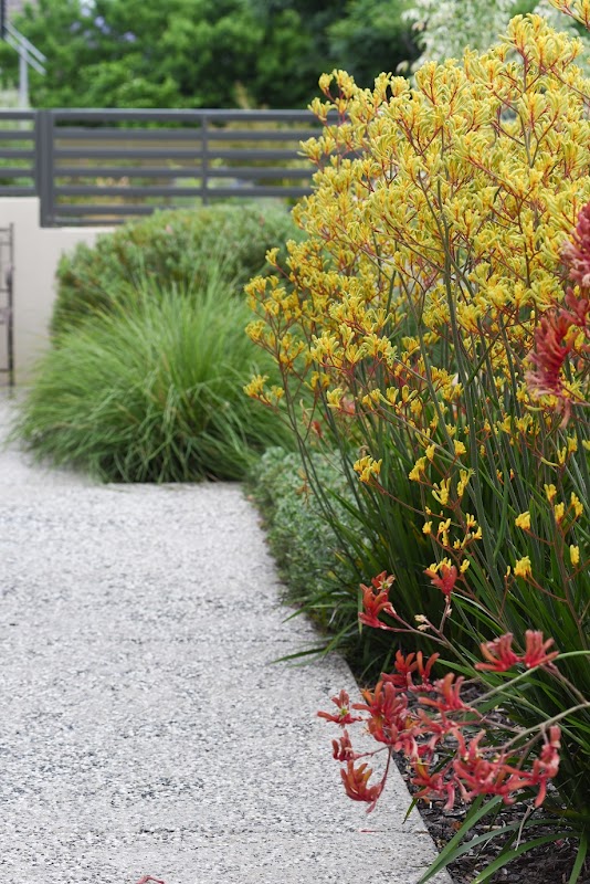 Get-Eco Adelaide's Sustainable Landscape Designer project 6