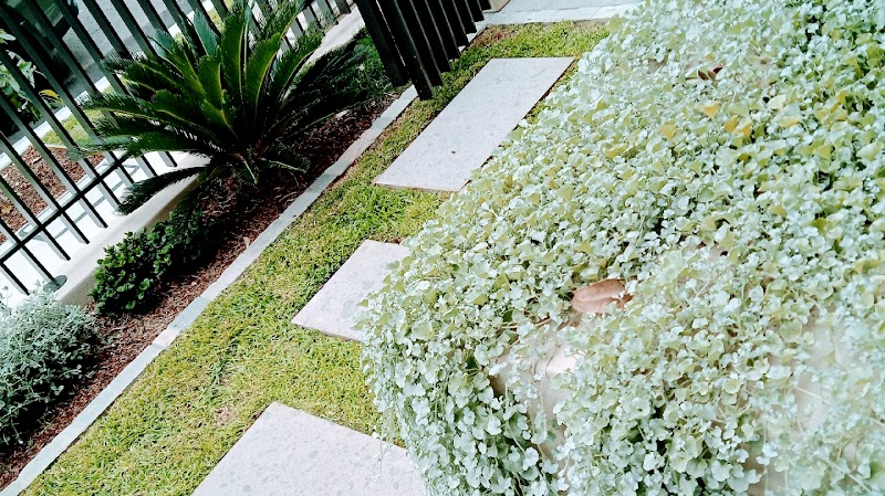 Get Laid-Turf install & Horticulture project 5