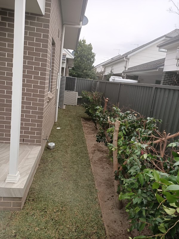 Get Laid-Turf install & Horticulture project 8