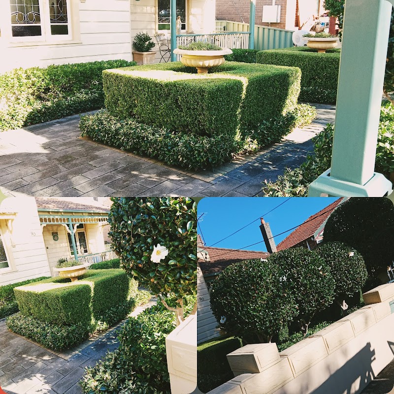 Get Laid-Turf install & Horticulture project 10