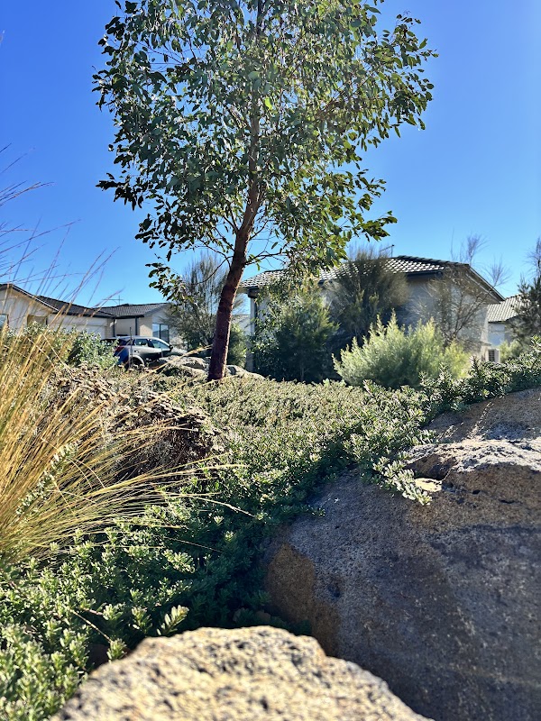 GO Landscaping work 4
