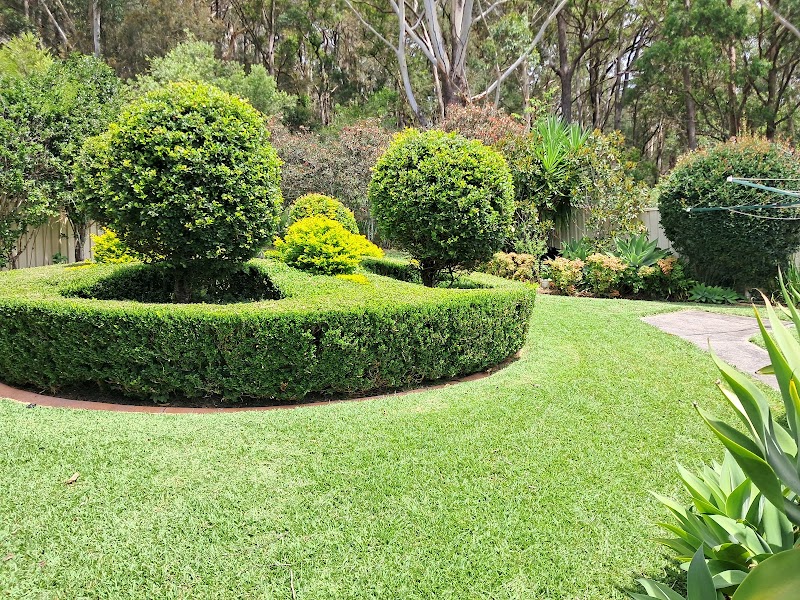 Goodness Gardens Co. photo 1