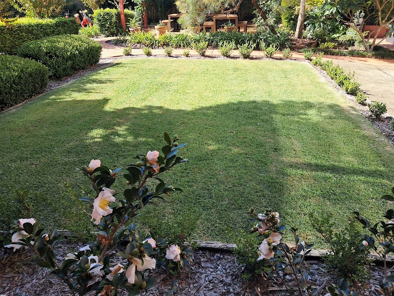 Goodness Gardens Co. photo 3