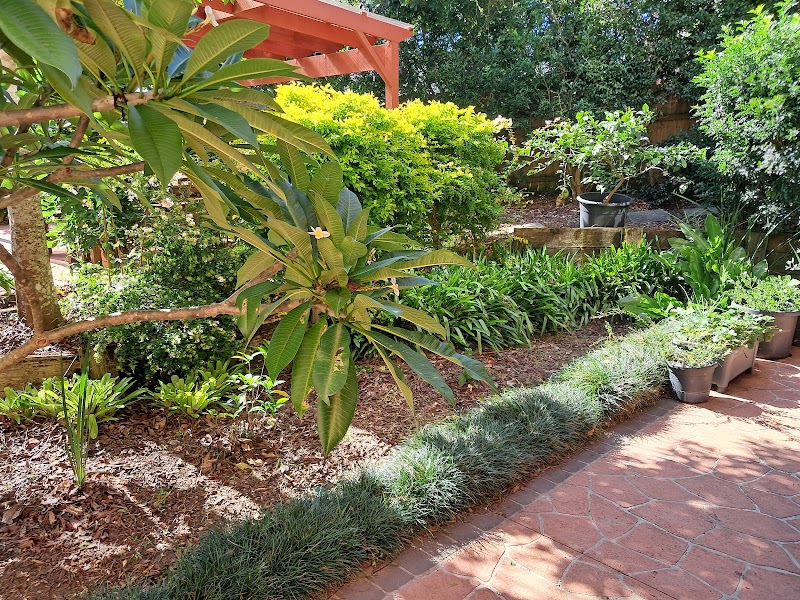 Goodness Gardens Co. project 6