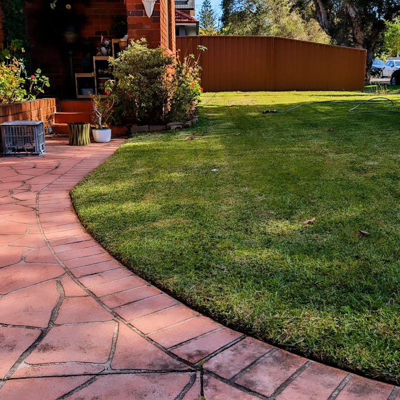 Goran's Garden Services project 6
