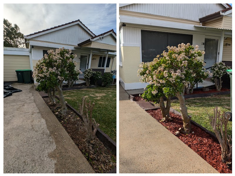 Goran's Garden Services project 7